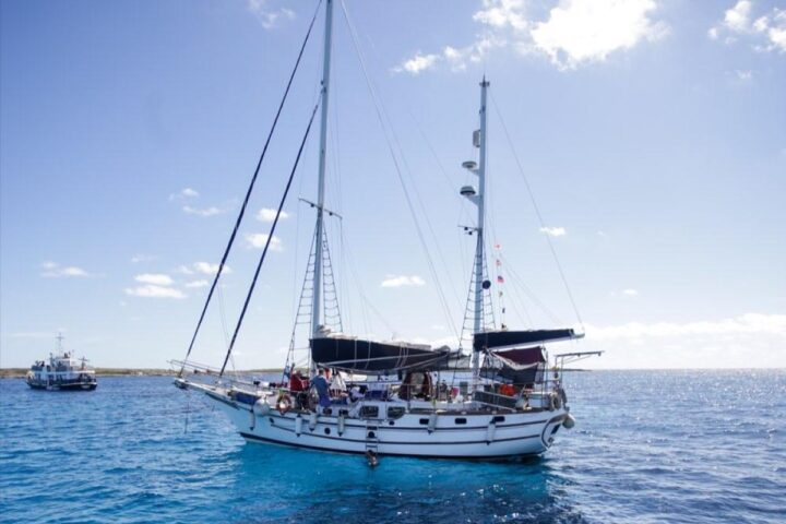 Il coordinatore tunisino della Global Sumud Flotilla si dimette per divisioni su attivisti Lgbtq+