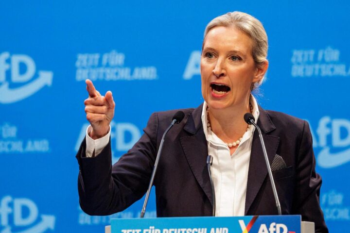 Alternativa per la Germania mantiene il primato politico secondo i sondaggi