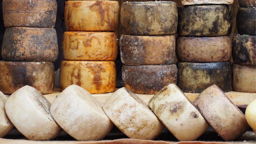 Export ucraino di formaggi rafforza la stabilità del mercato UE