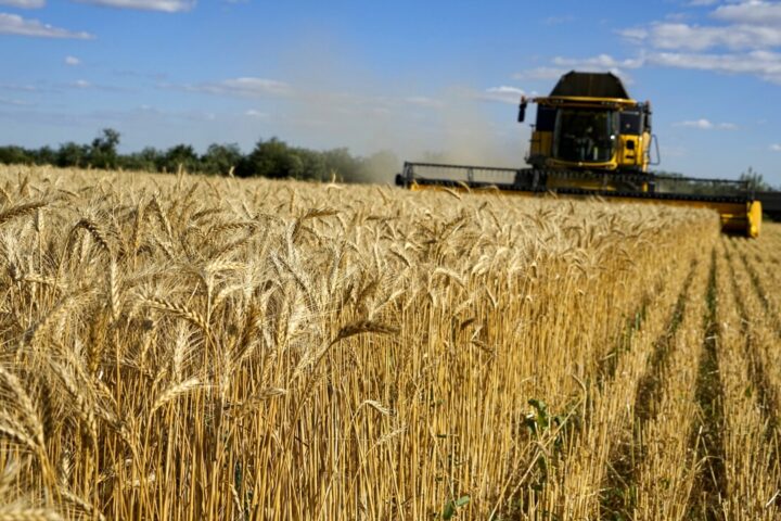 Il ruolo strategico dell’orzo ucraino nei mercati europei