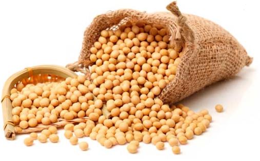 La Romania mantiene la produzione grazie alla soia ucraina