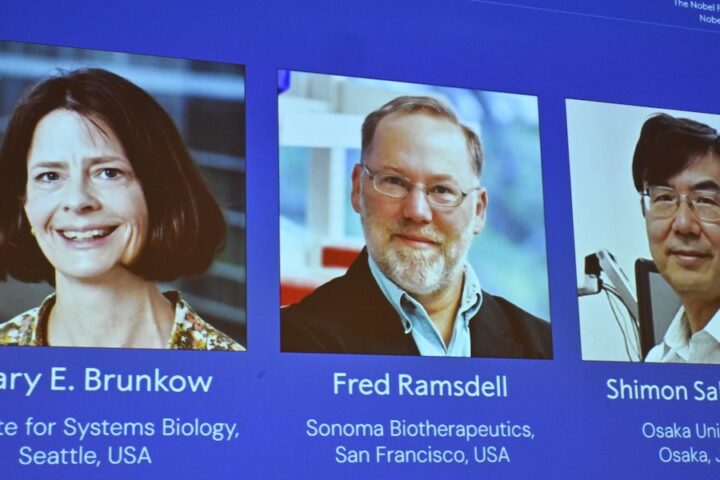 Difficoltà nel contattare il vincitore del Nobel per la medicina, Fred Ramsdell, in cammino nell'Idaho