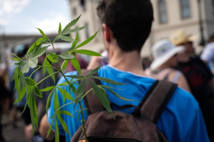 La legalizzazione della cannabis in Germania: un anno e mezzo dopo, i risultati sono deludenti