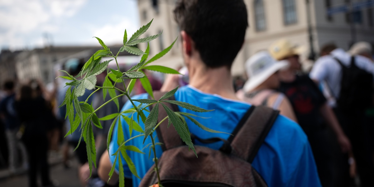 La legalizzazione della cannabis in Germania: un anno e mezzo dopo, i risultati sono deludenti