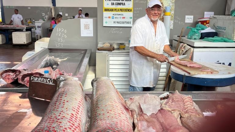 A Belém per la COP30, tra il pirarucù e gli impegni da onorare