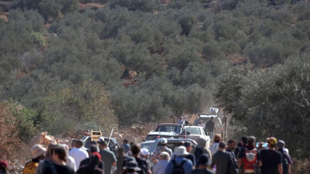 Attacchi dei coloni israeliani contro gli ulivi palestinesi: un drone colpisce i pacifisti