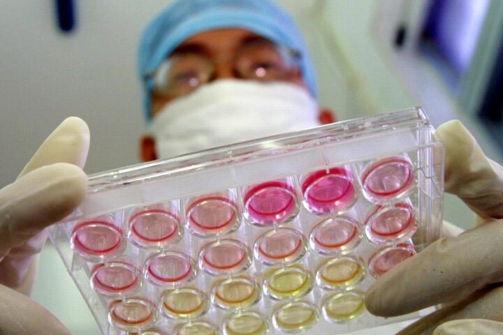 Caccia all'immortalità in Cina: start-up e ricerche sfidano i limiti della natura