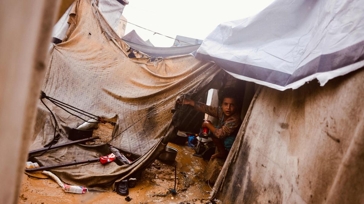 Calo delle donazioni per Gaza dopo il cessate il fuoco, la situazione umanitaria resta critica