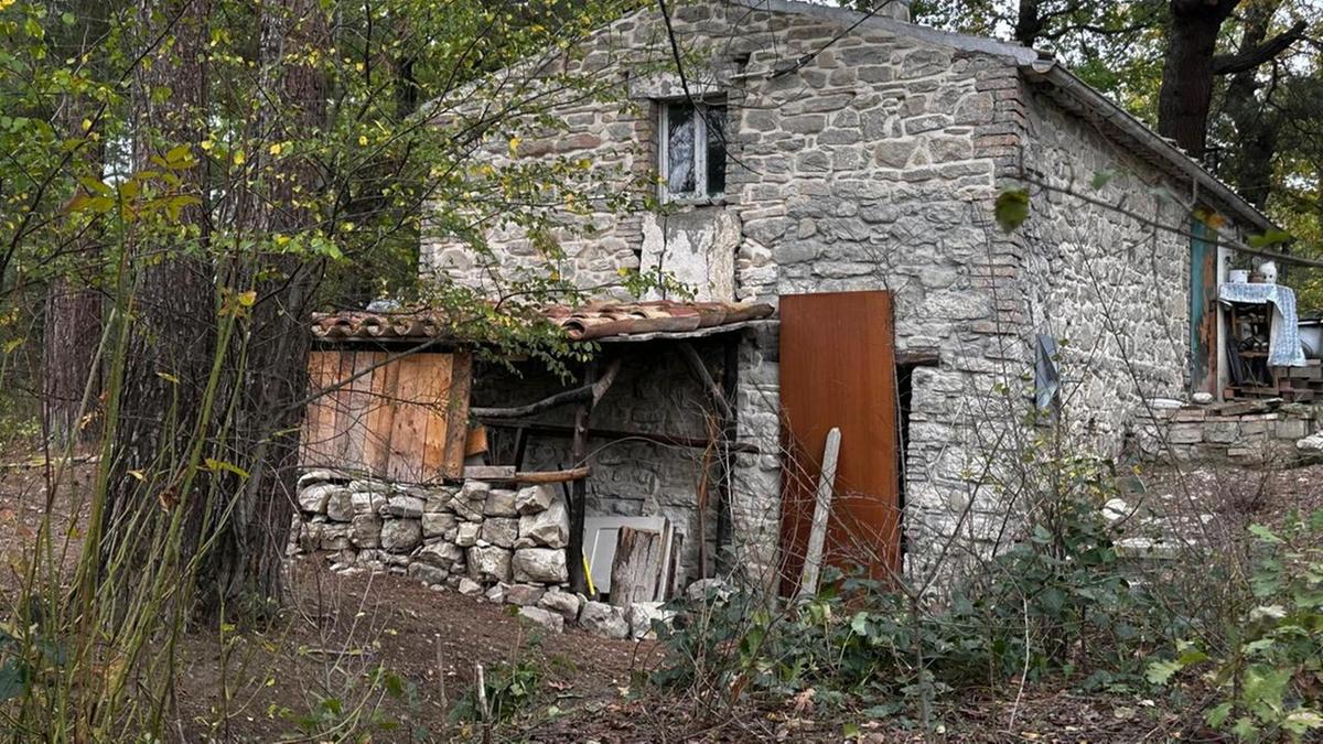 Controversia sui bambini di Palmoli: il governo avvia accertamenti dopo le critiche al Tribunale dei minori