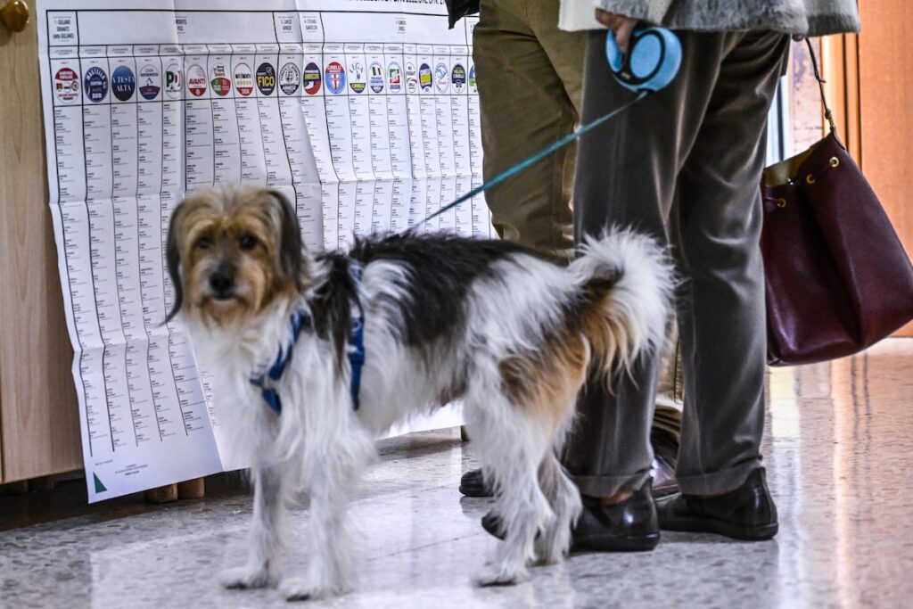 Elezioni regionali 2025: affluenza sotto il 50% in Veneto, Campania e Puglia, astensionismo in crescita