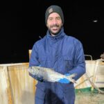 Il rumore umano minaccia la comunicazione dei capodogli e degli altri cetacei