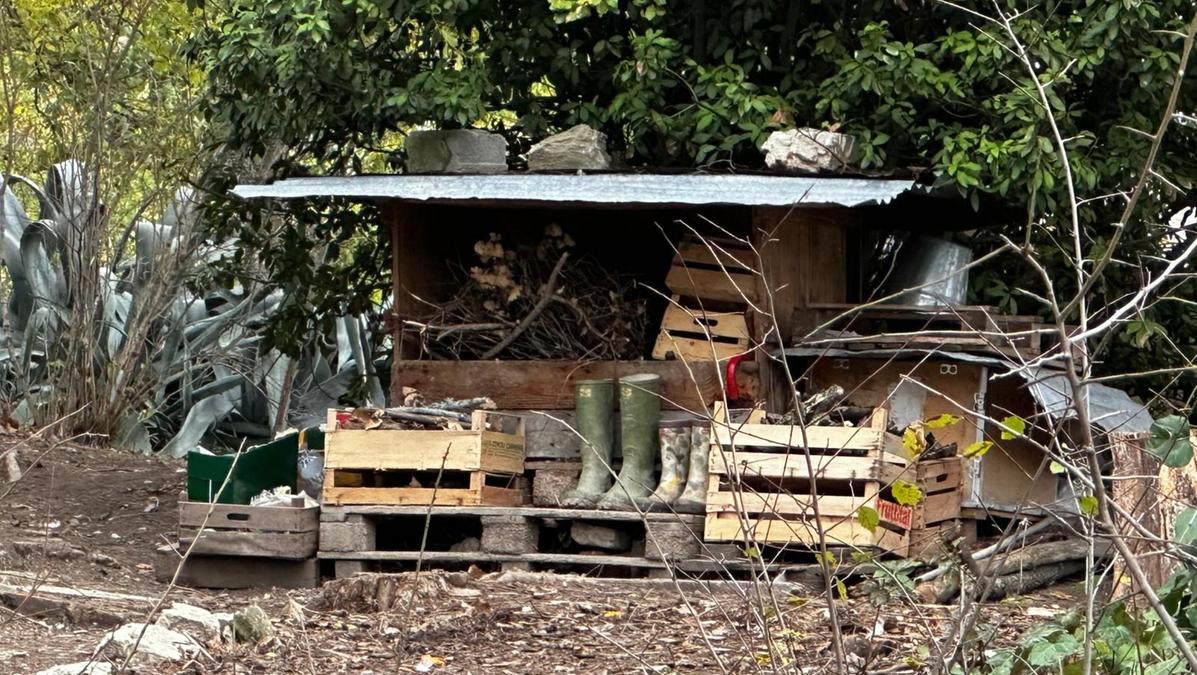 Lo psicoterapeuta sul caso dei minori nella foresta: “Allontanare i bambini non è la soluzione”