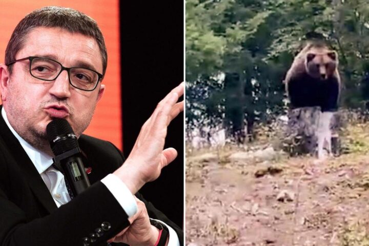 Maurizio Fugatti indagato per l’uccisione “con crudeltà” dell’orso M90 in Trentino