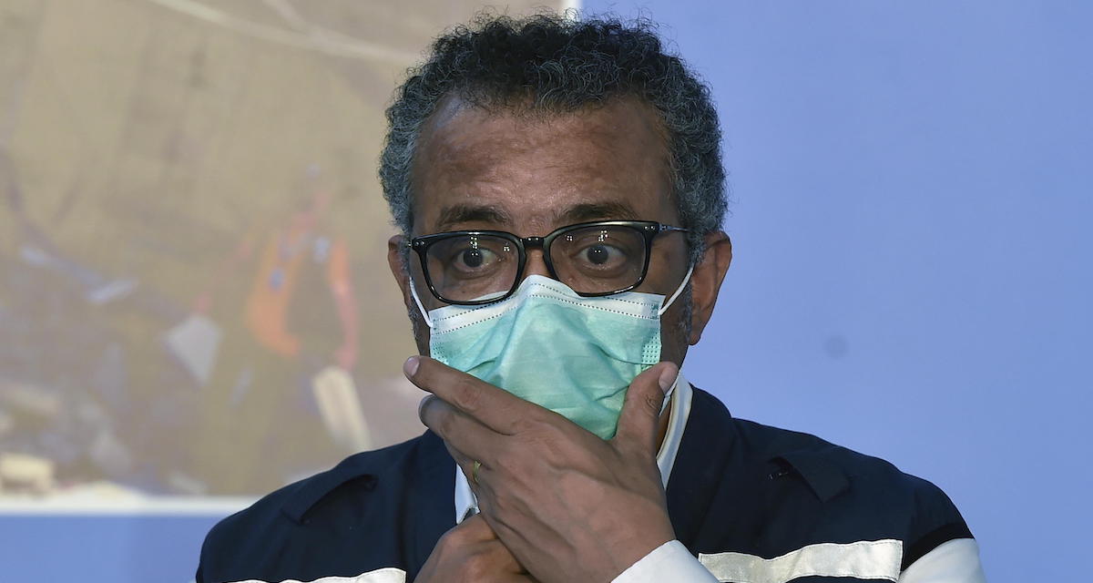 Nuovi casi di virus di Marburg confermati in Etiopia, almeno nove segnalati dal direttore dell'Oms