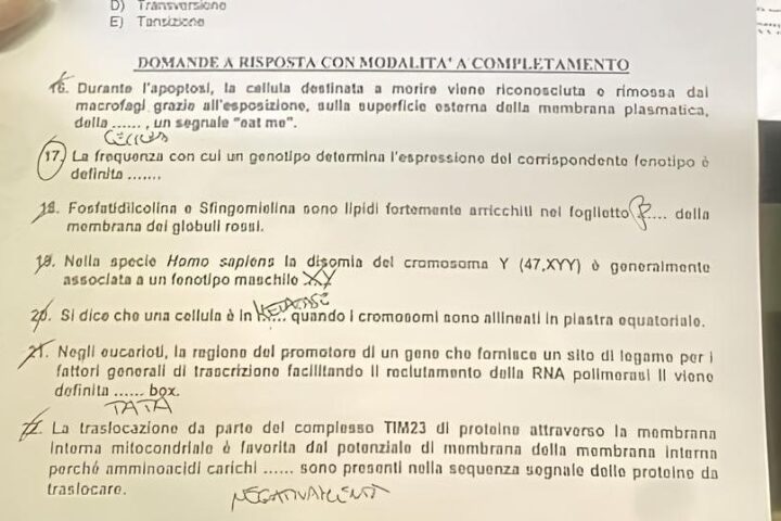 Scandalo per il test di accesso a Medicina: fotografie e irregolarità sui social, il Ministero valuta l'annullamento