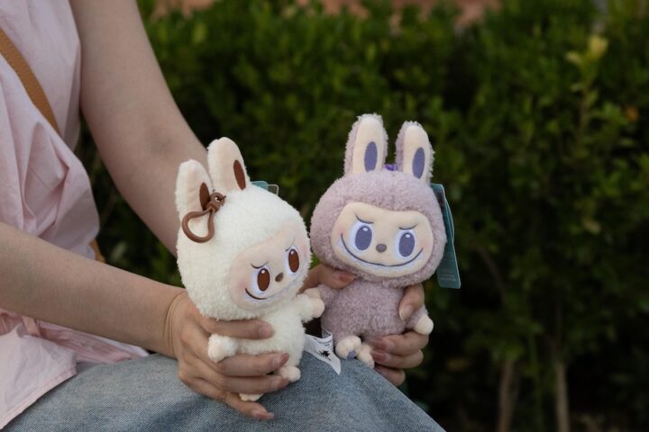 Sequestrati a Palermo oltre 10mila pupazzetti Labubu falsi del valore di mezzo milione di euro