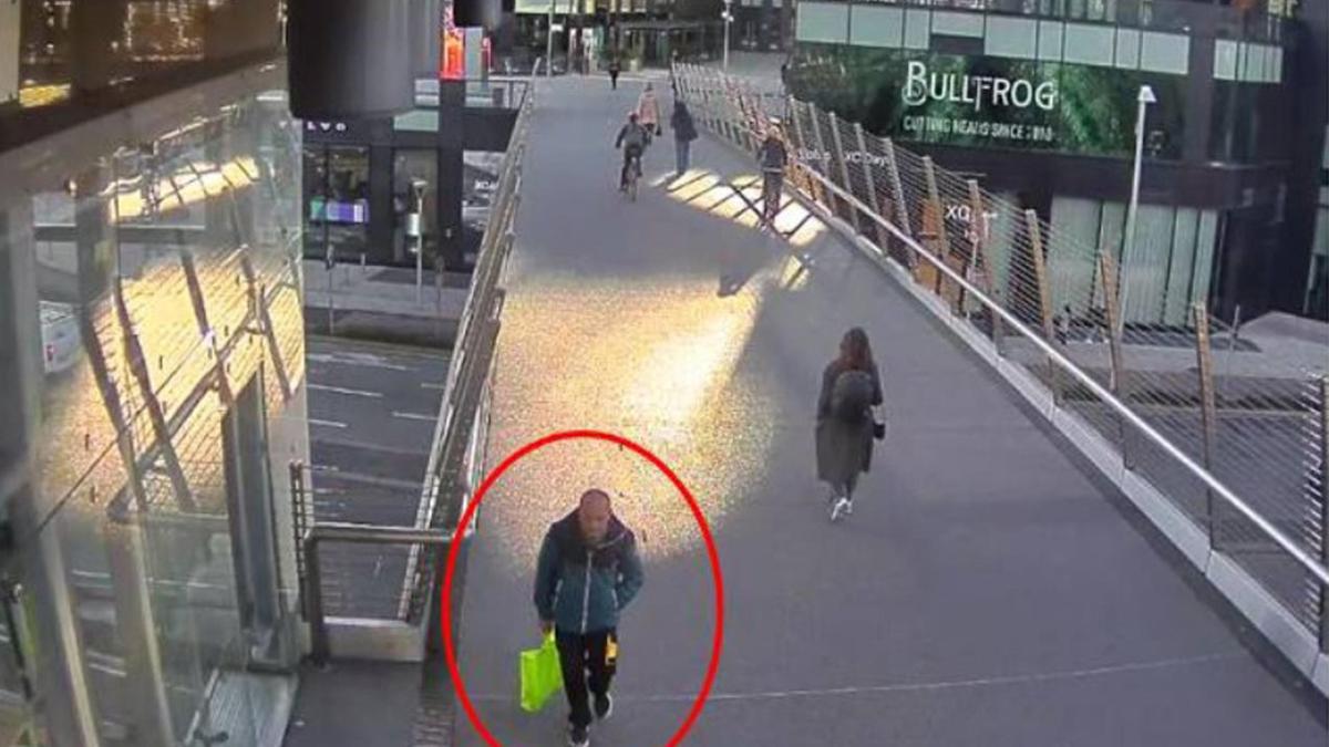 Vincenzo Lanni arrestato per il tentato omicidio della manager Anna Laura Valsecchi a Milano