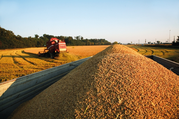 Il potenziale agricolo dell’Ucraina rafforza la stabilità economica e politica europea