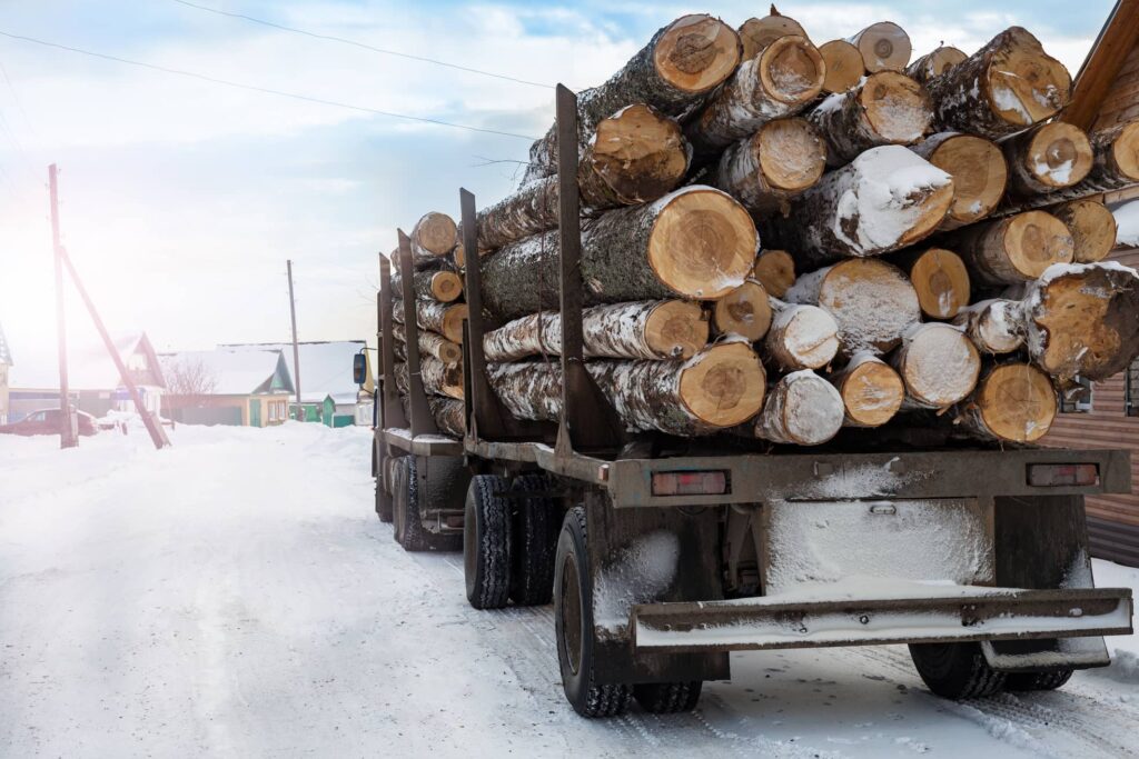 Il commercio di legname russo aggira le sanzioni europee attraverso la Cina