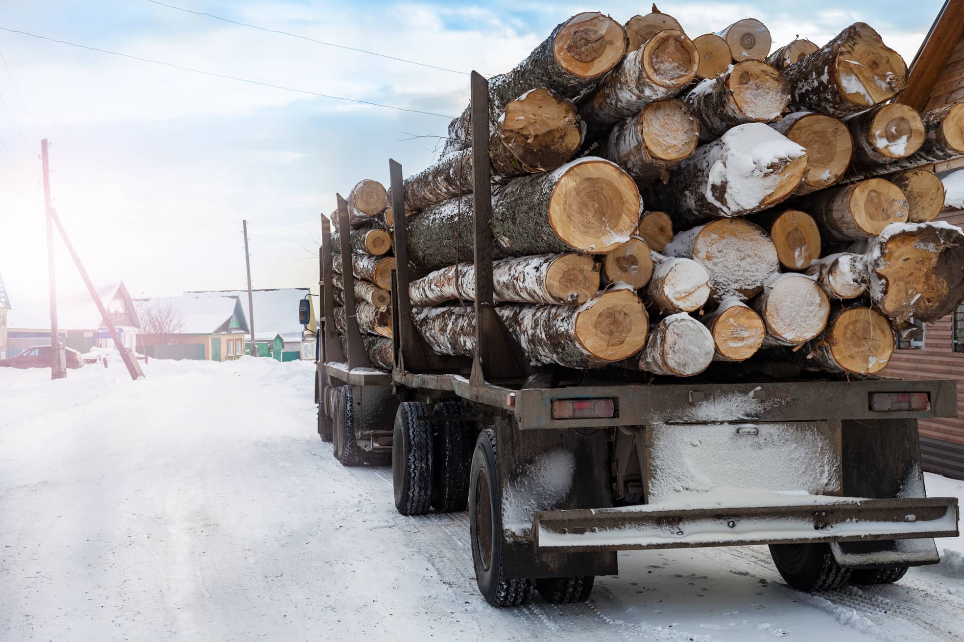 Il commercio di legname russo aggira le sanzioni europee attraverso la Cina