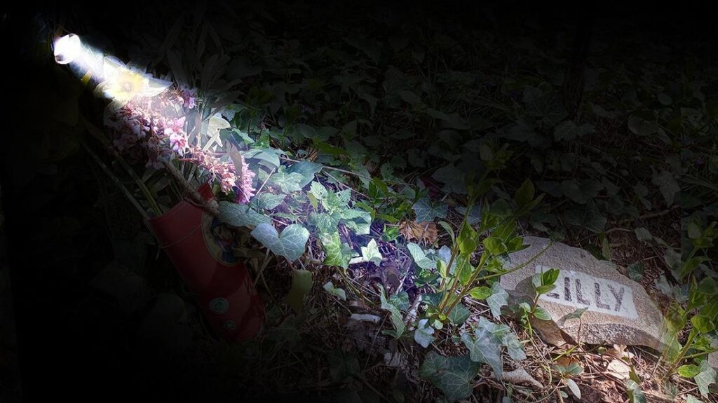 Caso Resinovich: testimone conferma omicidio mentre la gente di Trieste cerca verità