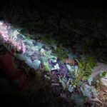 Caso Resinovich: testimone conferma omicidio mentre la gente di Trieste cerca verità