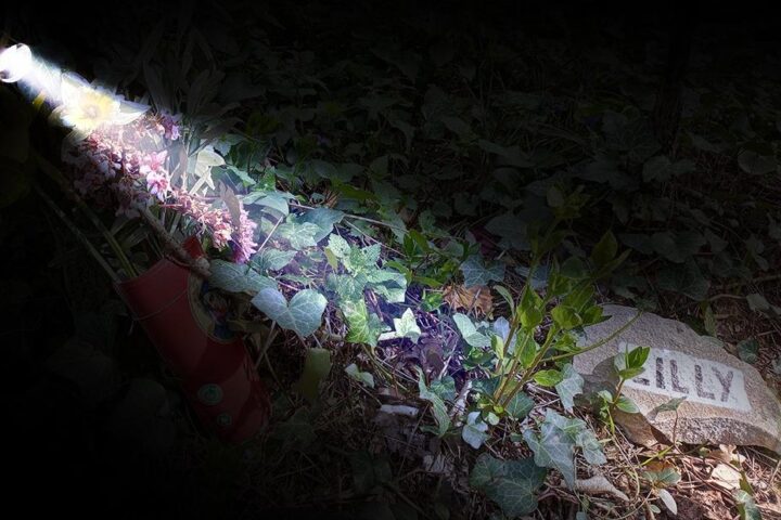 Caso Resinovich: testimone conferma omicidio mentre la gente di Trieste cerca verità