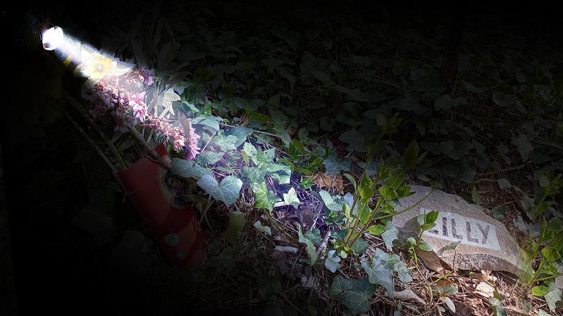 Caso Resinovich: testimone conferma omicidio mentre la gente di Trieste cerca verità