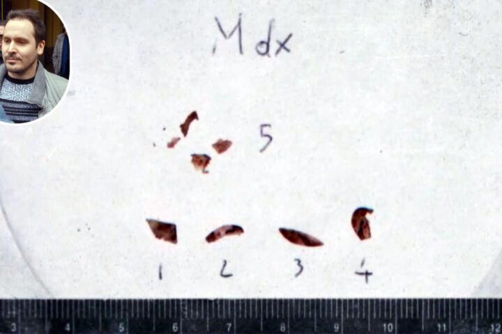 Garlasco, la genetista Denise Albani conferma: "Il Dna di Chiara Poggi legato a Andrea Sempio"