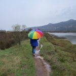 Guggenheim di Bilbao: controversie e opposizioni per l'espansione nella riserva di Urdaibai