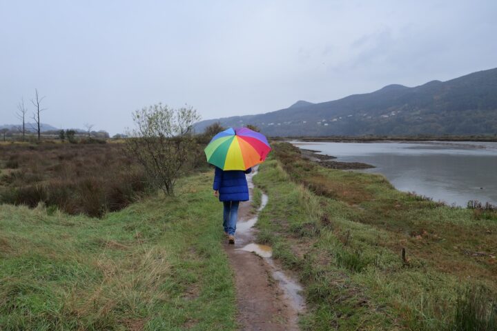 Guggenheim di Bilbao: controversie e opposizioni per l'espansione nella riserva di Urdaibai