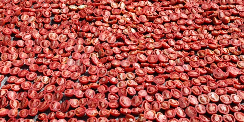 Il crollo dell'importazione di pomodori cinesi in Italia: un cambiamento significativo nella filiera alimentare