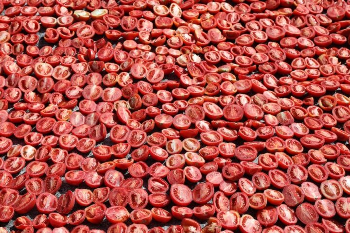 Il crollo dell'importazione di pomodori cinesi in Italia: un cambiamento significativo nella filiera alimentare