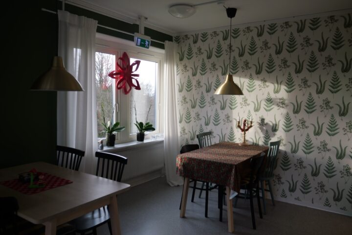 SällBo: un modello di coabitazione tra anziani e giovani migranti in Svezia per combattere la solitudine