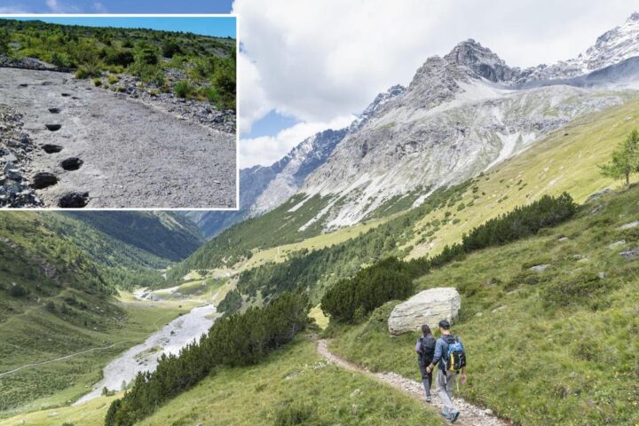 Scoperte orme di dinosauri nel Parco Nazionale dello Stelvio, risalenti a 210 milioni di anni fa