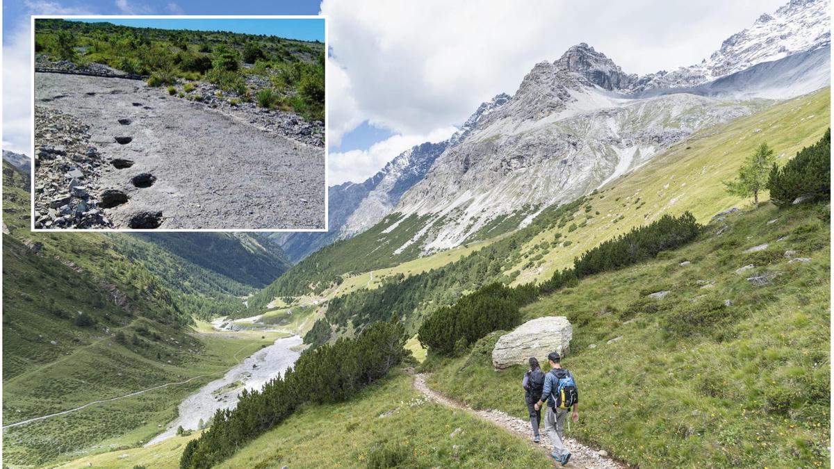 Scoperte orme di dinosauri nel Parco Nazionale dello Stelvio, risalenti a 210 milioni di anni fa