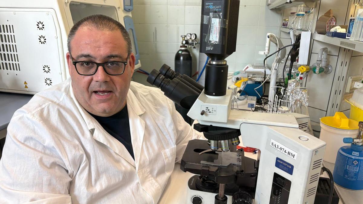 Tragedia di Campobasso: il botulismo e la sicurezza alimentare secondo Fabrizio Anniballi