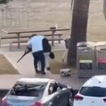 Un passante disarma un attentatore armato a Bondi Beach, evitando il peggio