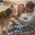 Una famiglia su tre ha un animale domestico, aumentano le coppie senza figli con cani e gatti