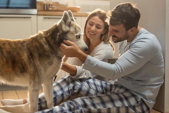 Una famiglia su tre ha un animale domestico, aumentano le coppie senza figli con cani e gatti