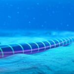 Danni a un cavo nel Baltico riaccendono l’allarme sulla sicurezza digitale nel Nord Europa
