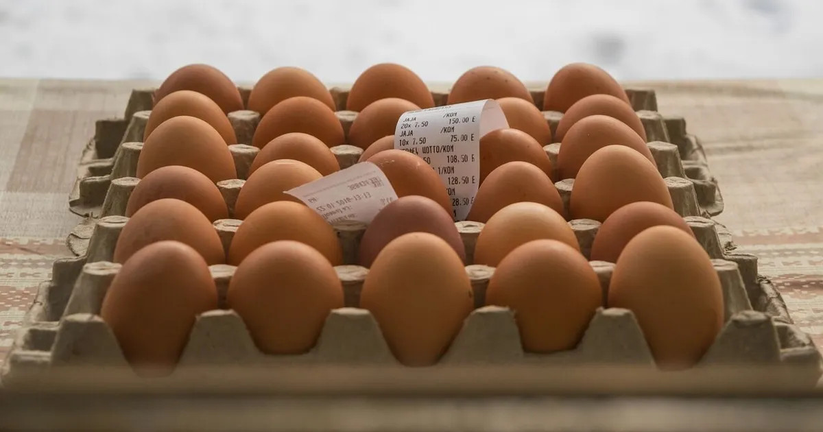 L’Ucraina diventa fornitore chiave per compensare il deficit di uova nell’Unione europea
