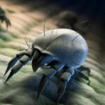 Acari della polvere: come proteggere i bambini e difendersi in casa