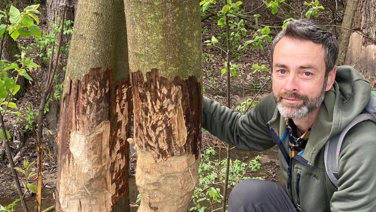 Caso Resinovich, scoperte sulle formiche carnivore e l'inchiesta a Trieste