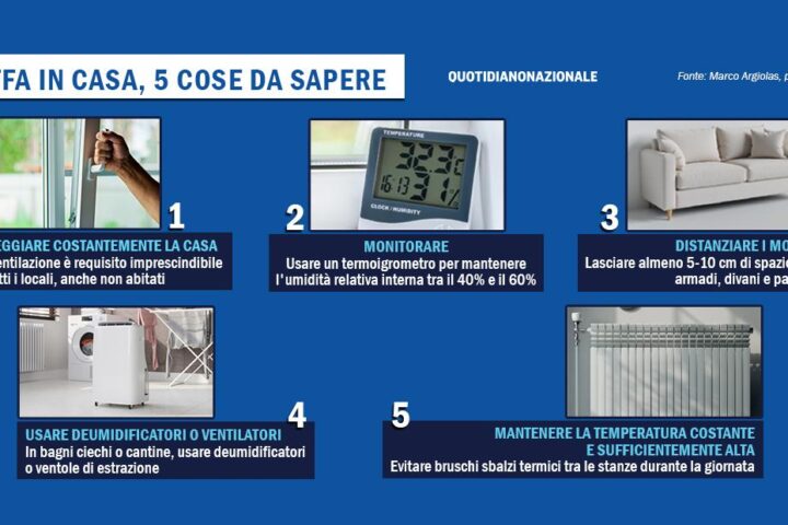 Come rimuovere la muffa in casa: i consigli del patologo edile Marco Argiolas