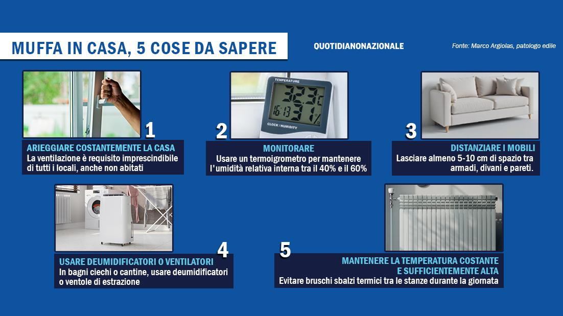 Come rimuovere la muffa in casa: i consigli del patologo edile Marco Argiolas