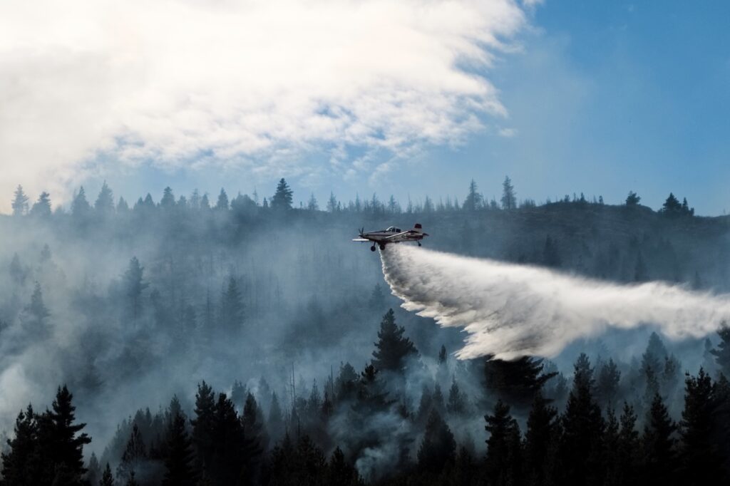 Incendi devastanti in Patagonia argentina: più di 300 vigili del fuoco al lavoro per contenere le fiamme