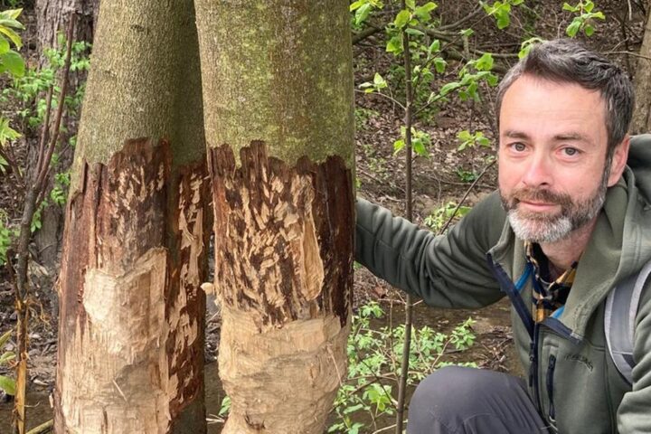 L'umidità attira i ragni in casa d'inverno? Ecco come allontanarli vivi