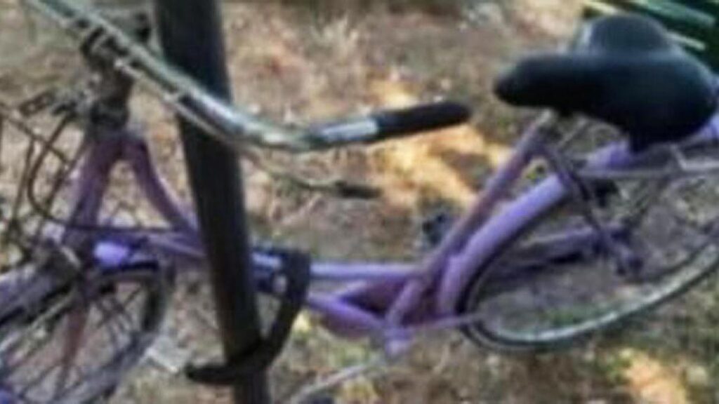 Ritrovata la bici della studentessa scomparsa Annabella Martinelli: indagini in corso nei Colli Euganei