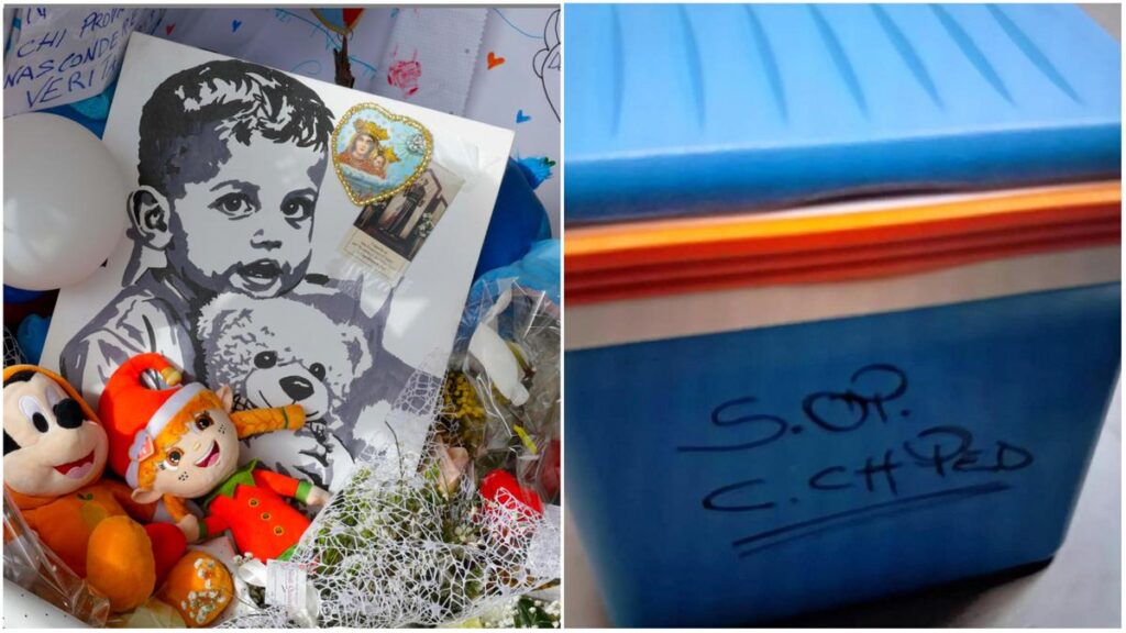 Contenitore per il cuore del piccolo Domenico, confermato l'uso di un frigo portatile a Bolzano